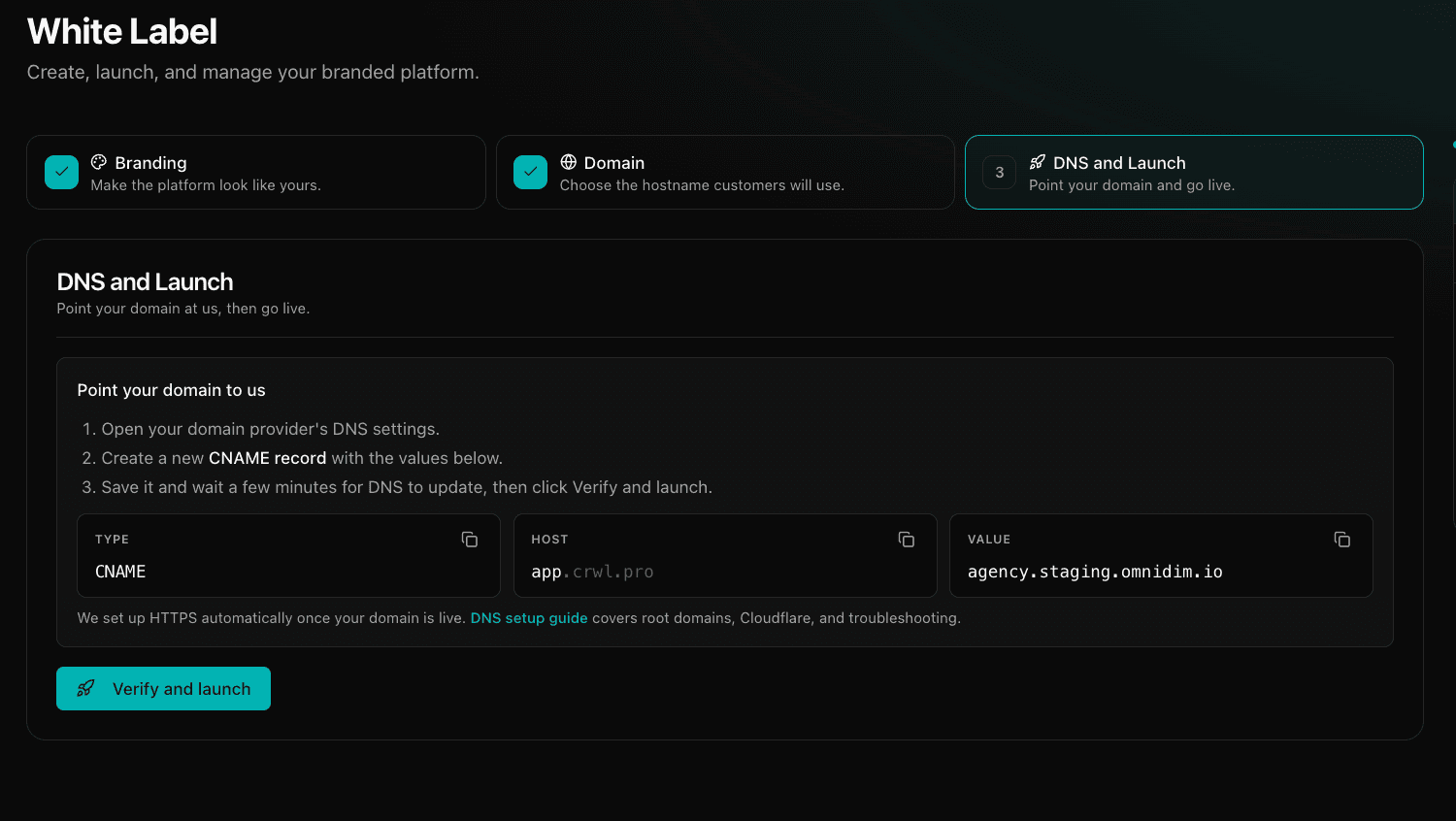 DNS and Launch step